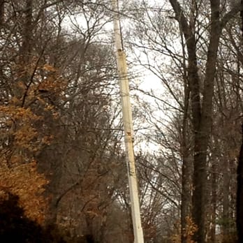 Building Services and Construction - Branch Clearing , One of our Maintenance Services - General Contractors Near Me - Marlton, New Jersey Building Services and Construction - Branch Clearing , One of our Maintenance Services - General Contractors Near Me - Marlton, New Jersey