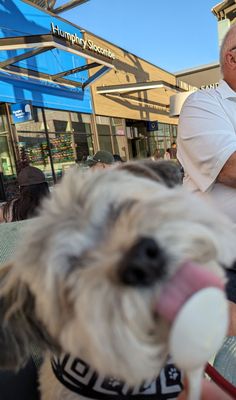 Humphry Slocombe Bay Street by null