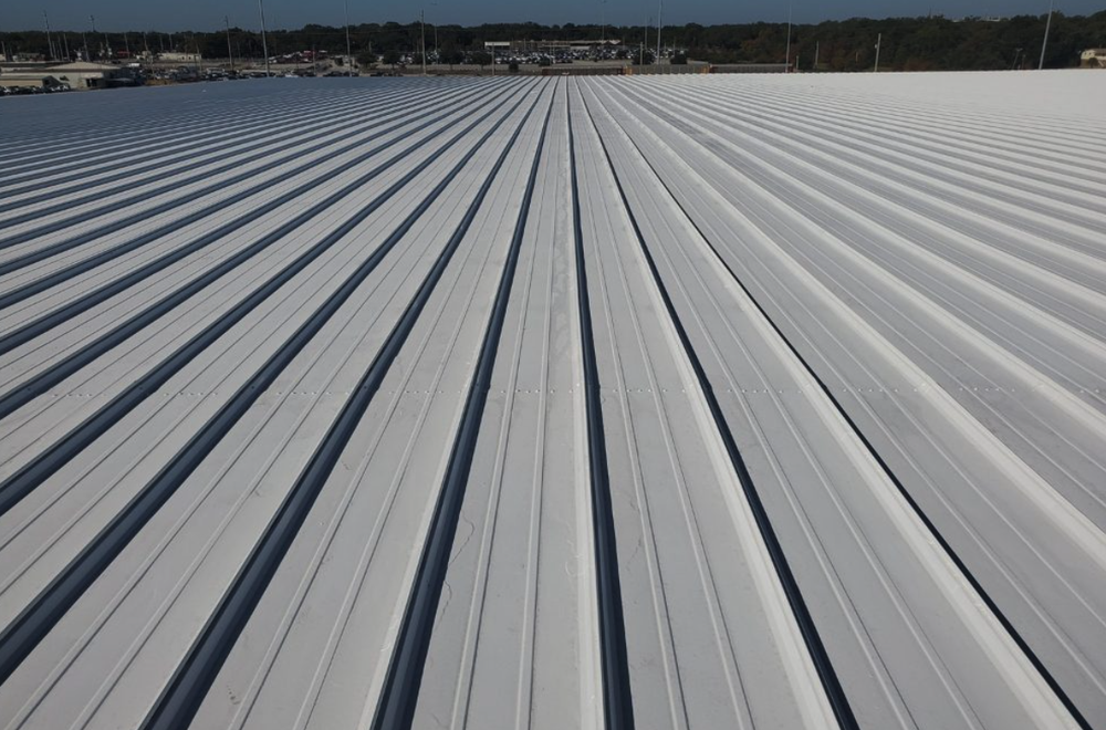 Slide of Purple Turtle Roofing