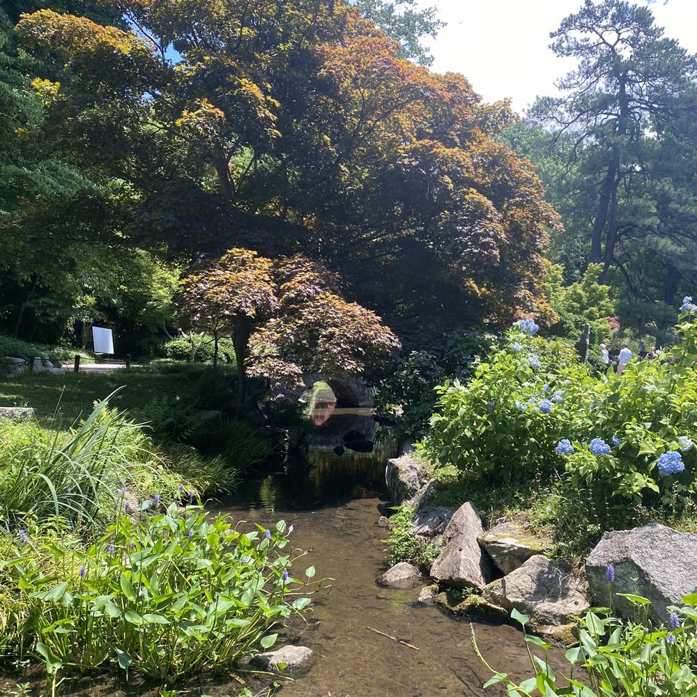 Maymont - The Japanese Gardens - Parks Near Me - Richmond, Virginia