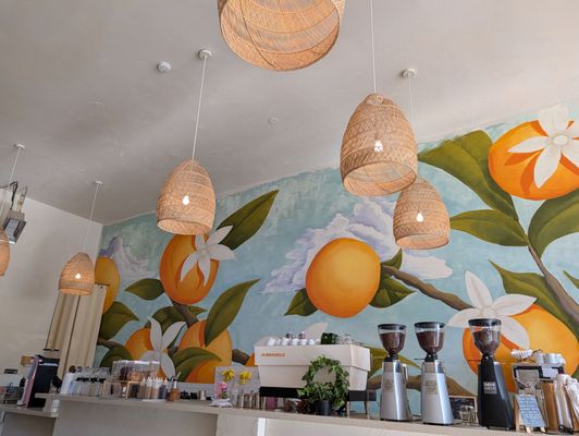 Jaffa Coffee Roasters by null