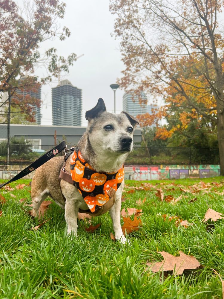 CASCADE PLAYGROUND Updated August 2024 21 Photos & 12 Reviews 333 Pontius Ave N, Seattle