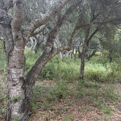 James Way Oak habitat And Wildlife Preserve