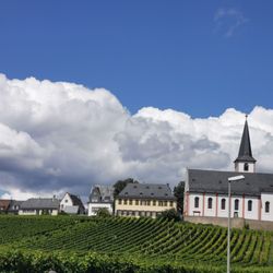 Hochheimer Weinfest