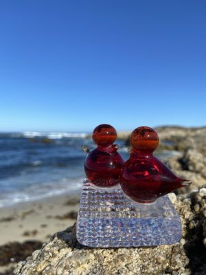 Asilomar State Beach by null