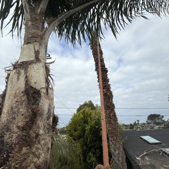 West View Tree Service - Tree Services Near Me West View Tree Service - Tree Services Near Me