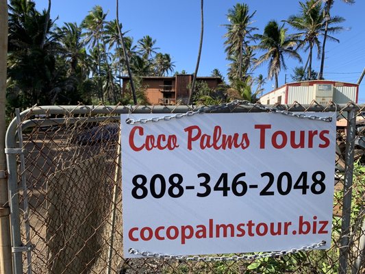 Coco Palms Resort by null