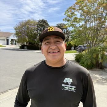 Ace Professional Tree Care - Gaspar, the rising star:) - Tree Services Near Me Ace Professional Tree Care - Gaspar, the rising star:) - Tree Services Near Me
