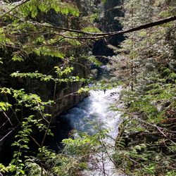 Capilano River Regional Park