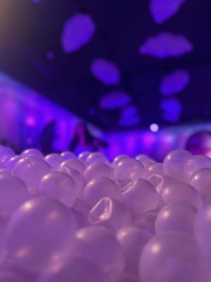 Bubble Planet: An Immersive Experience - Oakland by null