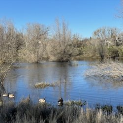 West Area Pond - View of the pond