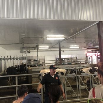 Heber Valley Artisan Cheese - Getting educated on the milking process - Cheese Shops Near Me - Midway, Utah Heber Valley Artisan Cheese - Getting educated on the milking process - Cheese Shops Near Me - Midway, Utah