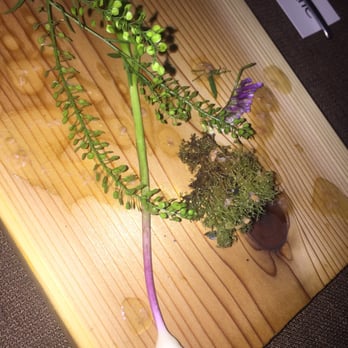 Living Kitchen Farm & Dairy - Poor man's pepper, wild garlic, dewberry vinaigrette, flash fried reindeer moss, veck purple flower - New American Near Me - Depew, Oklahoma Living Kitchen Farm & Dairy - Poor man's pepper, wild garlic, dewberry vinaigrette, flash fried reindeer moss, veck purple flower - New American Near Me - Depew, Oklahoma