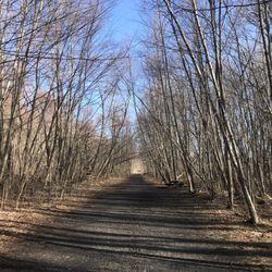 Allamuchy Mountain State Park - The main trail at Allamuchy.
