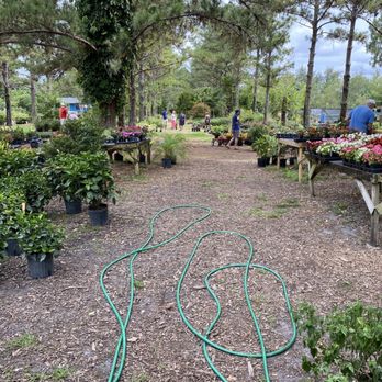 Green Acres Nursery - Nurseries & Gardening Near Me - Apopka, Florida