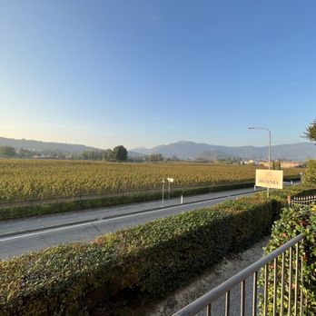 Il Mosnel - Wineries Near Me - Camignone di Passirano, BS