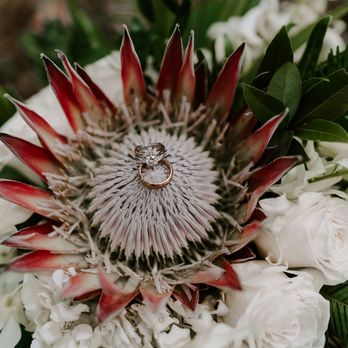Petite Maui - Florists Near Me Petite Maui - Florists Near Me