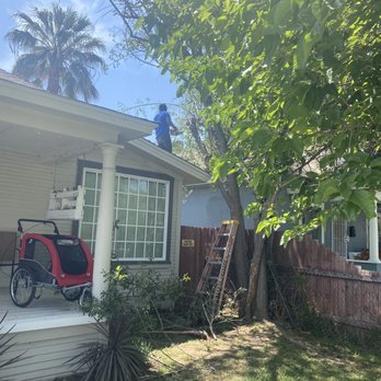 Ortega's Jr Tree Service - Trimming of tree that was too close to the roof. - Tree Services Near Me - Riverside , California