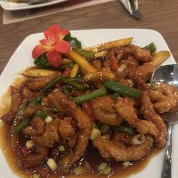 P4. Mango Chicken P4. Mango Chicken