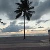 Bougainvillea On the Beach gift card