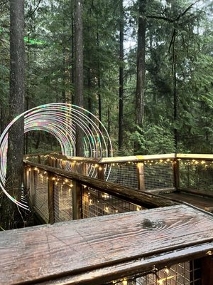 Capilano Suspension Bridge Park by null