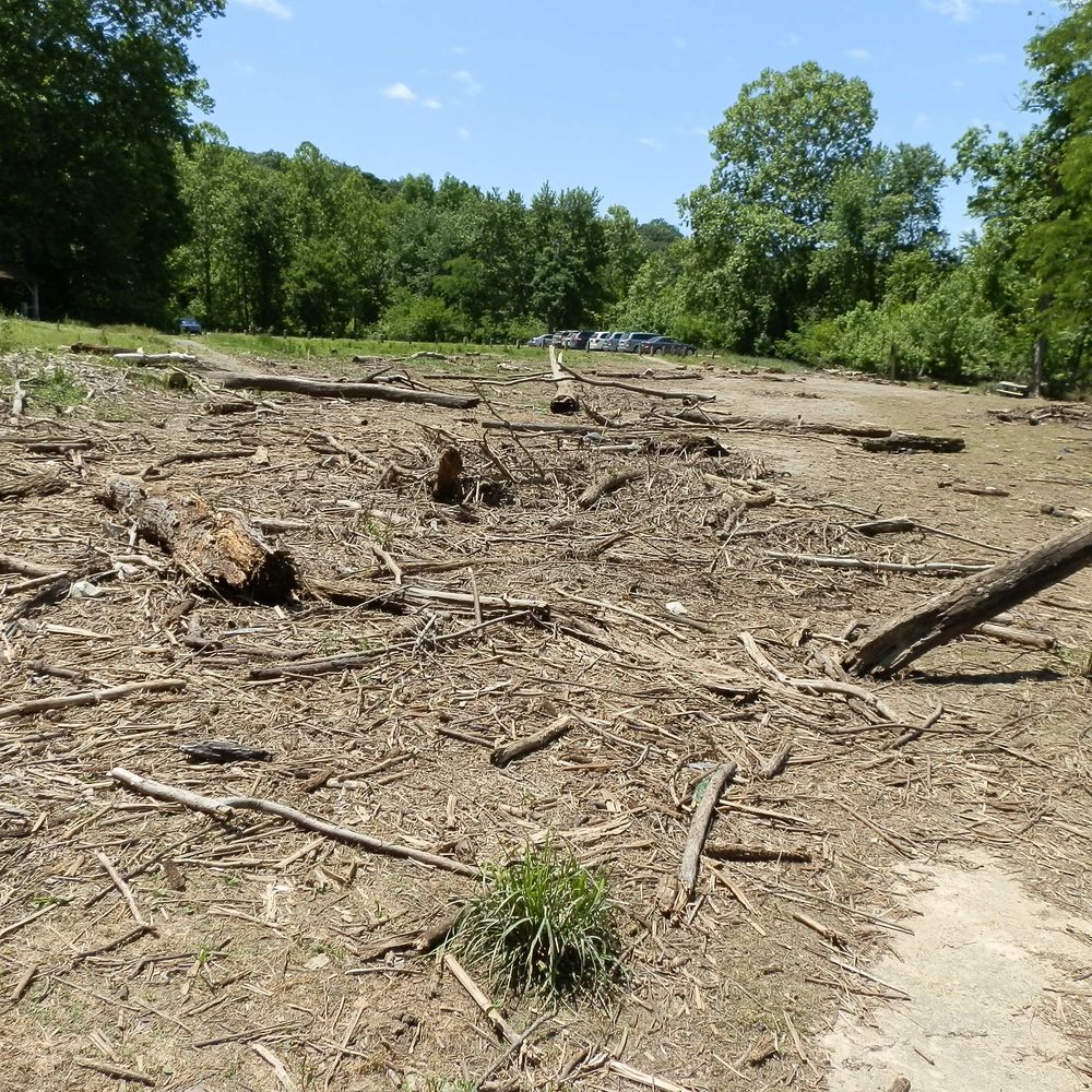 Cataract Falls State Recreation Area - Flooding on the lower falls brought debris up to the parking lot area - Hiking Near Me