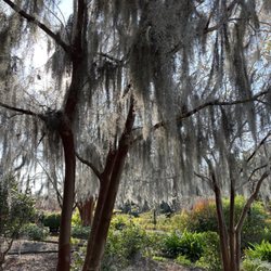 Boone Hall Plantation