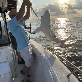9- Ball Fishing Charters - One of our black tip sharks we catch. - Fishing Near Me 9- Ball Fishing Charters - One of our black tip sharks we catch. - Fishing Near Me
