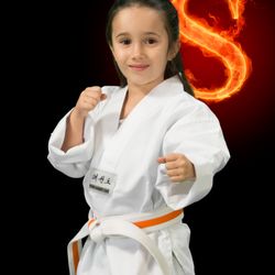 Moohan Martial Arts Academy - Kids Tiger Fun