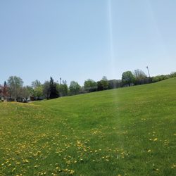 Kinsella Park - Open field
