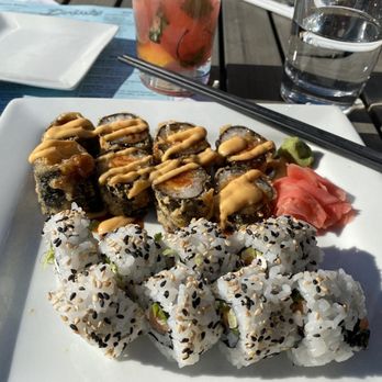 Sushi Alive - Sushi Bars Near Me - Tampa, Florida