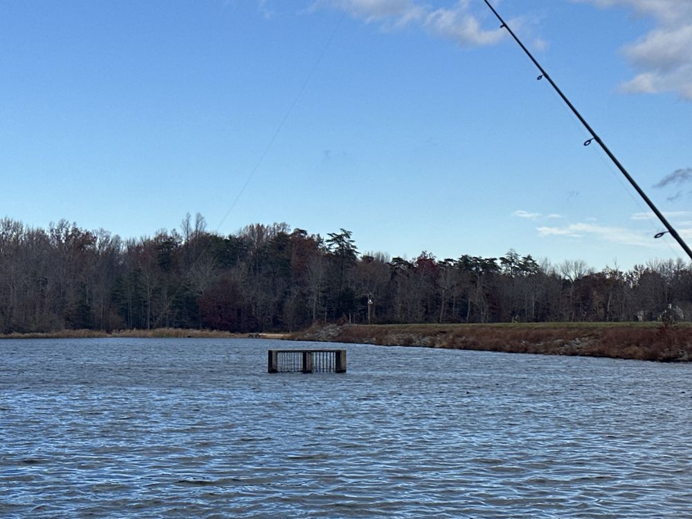 LAKE BRITTLE Updated August 2024 32 Photos & 14 Reviews 4354 Lake