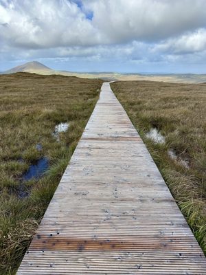 Connemara National Park by null