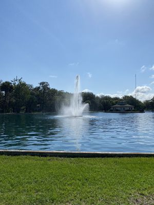Daffin Park by null