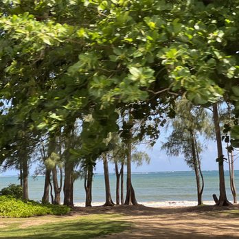 Hawaii Turtle Tours - Tours Near Me - Honolulu, Hawaii Hawaii Turtle Tours - Tours Near Me - Honolulu, Hawaii