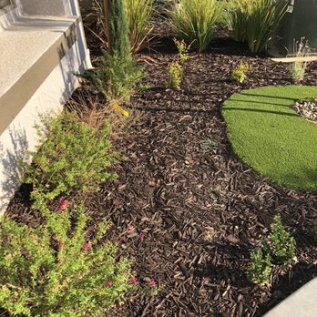 Granville Homes - Incomplete landscape and Granville refused to finish it? Missed 4 out of 6 spots plants on second row? - Home Developers Near Me - Fresno, California
