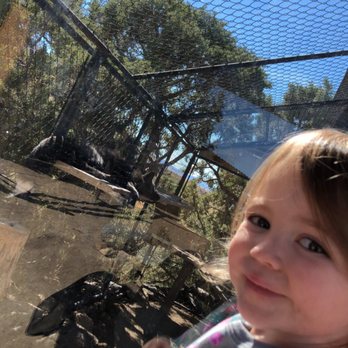 Animal Ark - With the foxes. They were her favorite. - Zoos Near Me - Reno, Nevada
