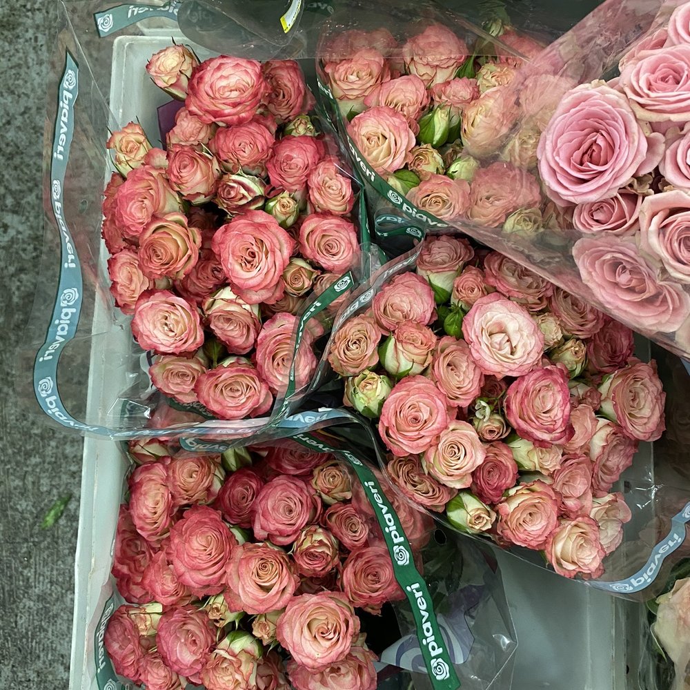 Potomac Floral Wholesale - Florists Near Me - Silver Spring, Maryland