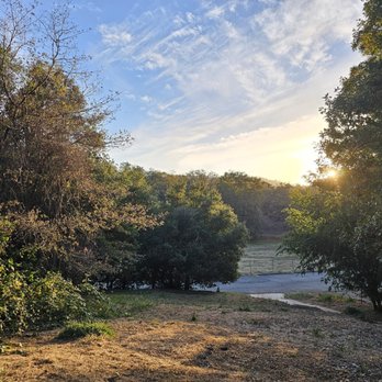 Butterfield Bed & Breakfast - Watching the sunset from their hillside bench (that field across the road is where the cows eat breakfast in the morning) - Bed & Breakfast Near Me - Julian, California
