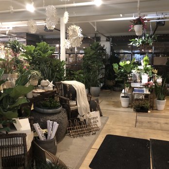 Mahonia - Gift Shops Near Me - Louisville, Kentucky Mahonia - Gift Shops Near Me - Louisville, Kentucky