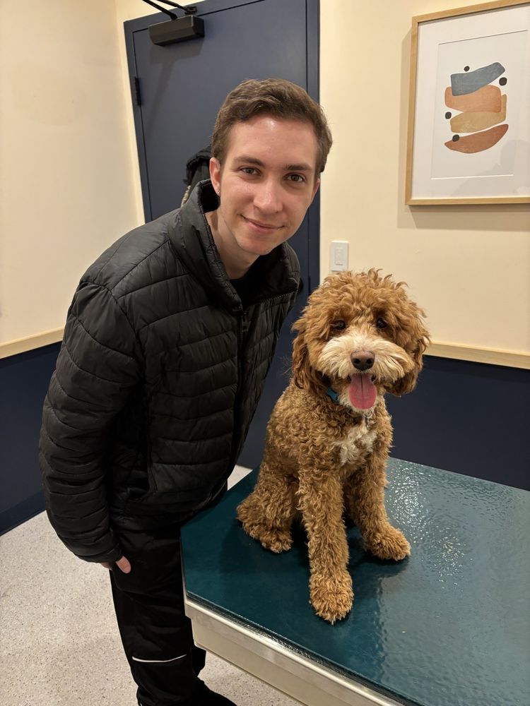 bond-vet-paramus-updated-october-2025-10-reviews-89-w-spring