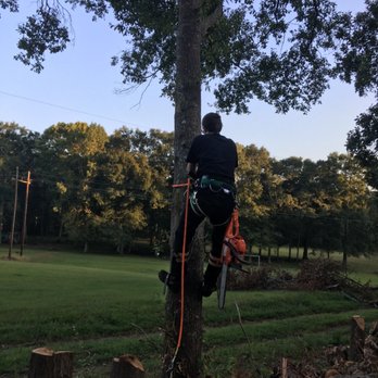 Walker's Land Management - Tree service - Demolition Services Near Me Walker's Land Management - Tree service - Demolition Services Near Me