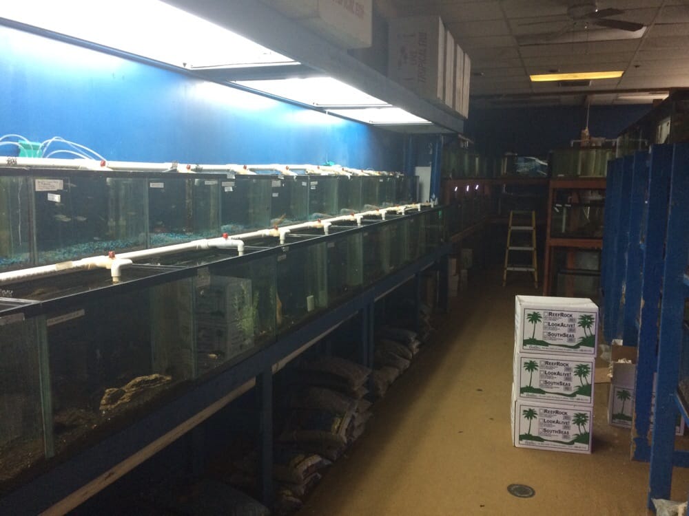 Exotic Fish Pet Stores 406 Northside Dr, Valdosta, GA Phone