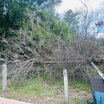 Absolute Tree and Stump - Dead tree dropped. - Crane Services Near Me - Fleming Island, Florida