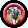 Photo of Diamond Dog Training