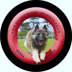 Diamond Dog Training