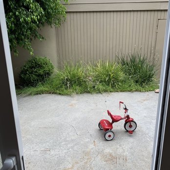 Angel Gardening Services - This is the before photo. Notice all the weeds and overgrown tree. - Gardeners Near Me - Costa Mesa, California Angel Gardening Services - This is the before photo. Notice all the weeds and overgrown tree. - Gardeners Near Me - Costa Mesa, California