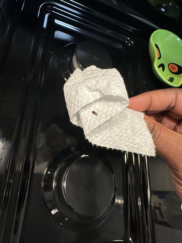 Scout Properties - property management company in Washington, DC, DC