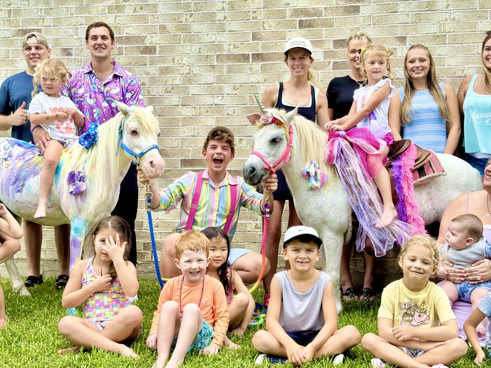 Peace Love & Ponies Logo