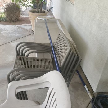 New Image Tree Care - The even netted my pool of the debris. Great job! - Tree Services Near Me - Corona, California
